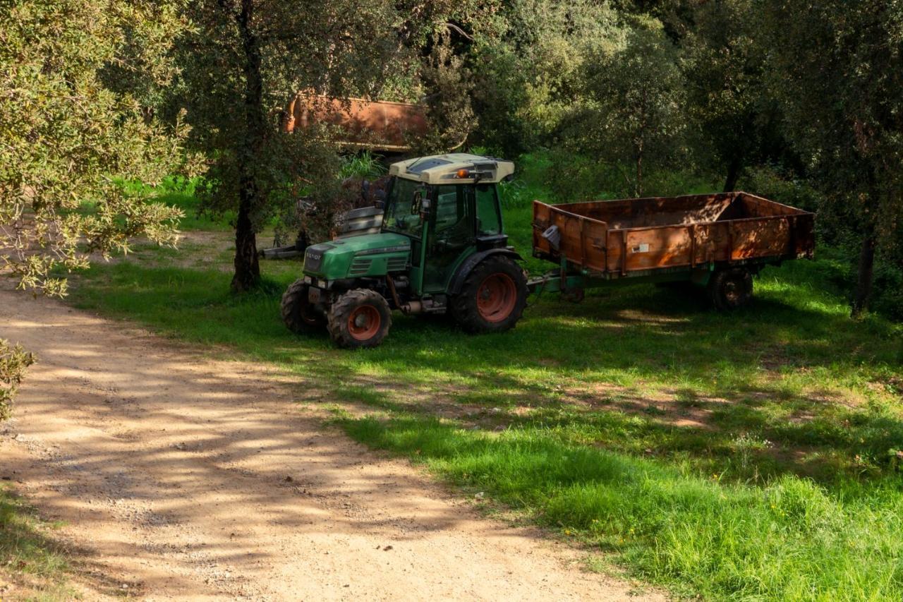 Finca Bell-Lloc Palamós Eksteriør billede